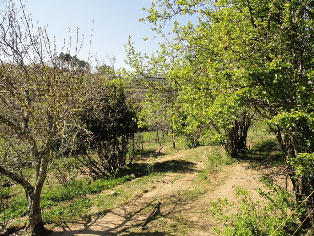 Chambre d'hôtes Au creux du Chambon Joyeuse Extérieur photo